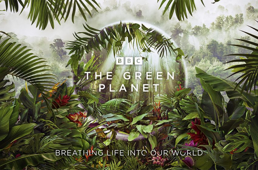  BBC Earth Announces Brand New Series The Green Planet with Sir David Attenborough