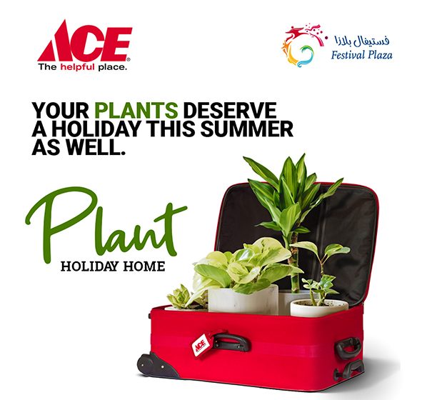  Send Your Plants on a Vacation at ACE’s Plant Holiday Home