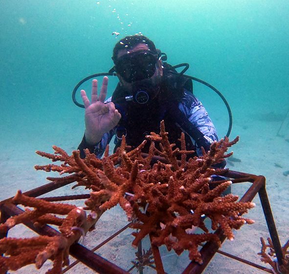  الإمارات للسحوبات تحتفل بزراعة أكثر من 4000 قطعة من الشعاب المرجانية في إنجاز جديد للمؤسسة