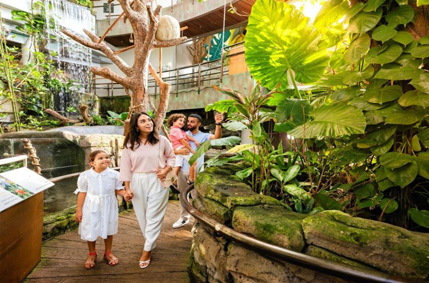  KEEP COOL AT THESE FAMILY-FRIENDLY ATTRACTIONS IN DUBAI