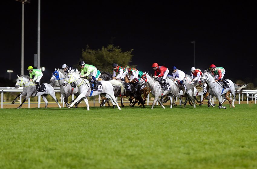  Under the directives of HH Sheikh Mansour bin Zayed.. The prize pool for The UAE President’s Cup for Purebred Arabian Horses has been increased to AED 4.5 million