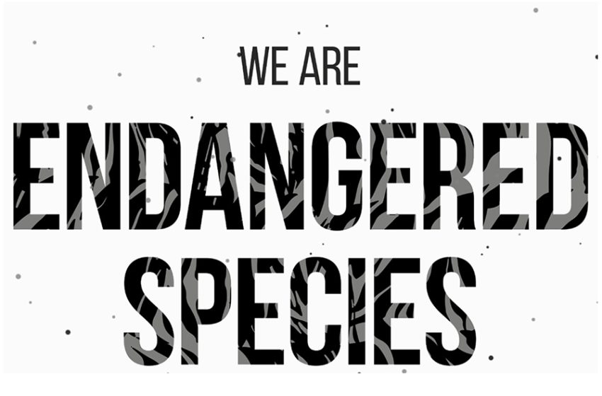  Introducing ‘We Are Endangered Species’.. A New Voice in the Climate Conversation